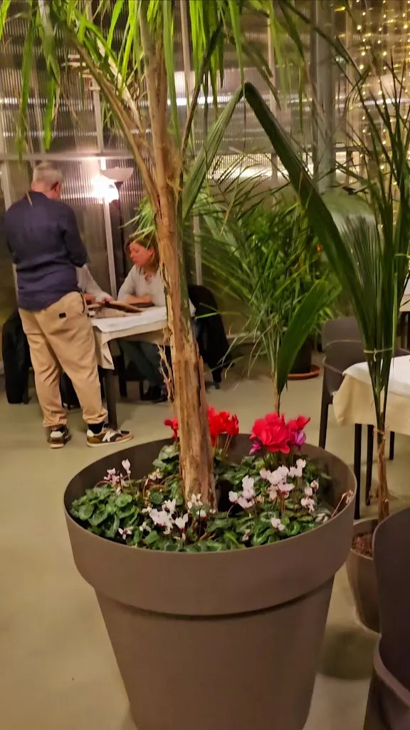 El Invernadero de Coloma_Viveros_slider_image_2