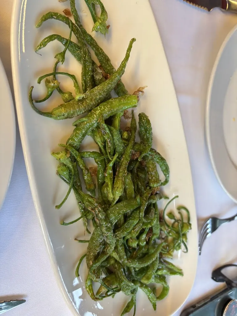 Cynthia Core_Bai Bidea Batzokia Zumaia_Zumaia_review