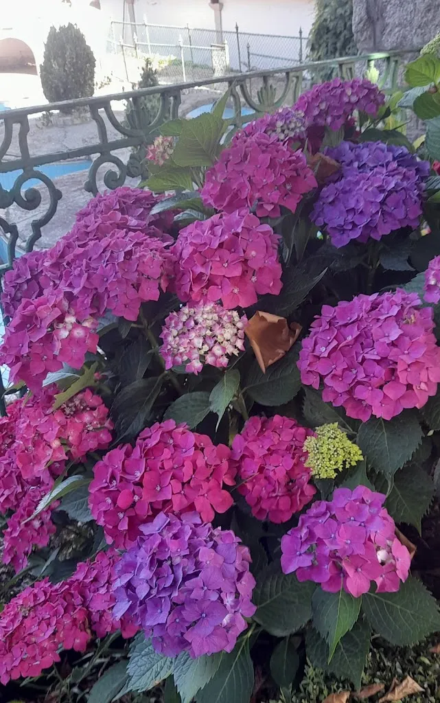 juan elosegui_Restaurante Lagun Artea_Zumaia_review