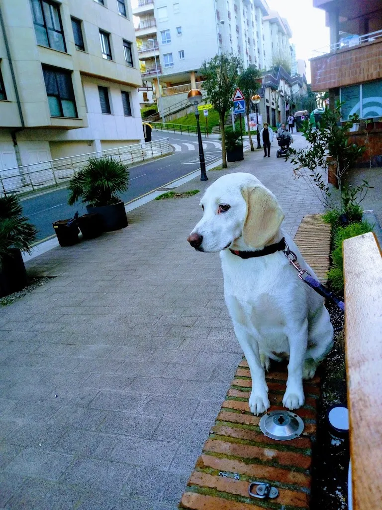 Inpernupe Taberna_Zumaia_slider_image_3