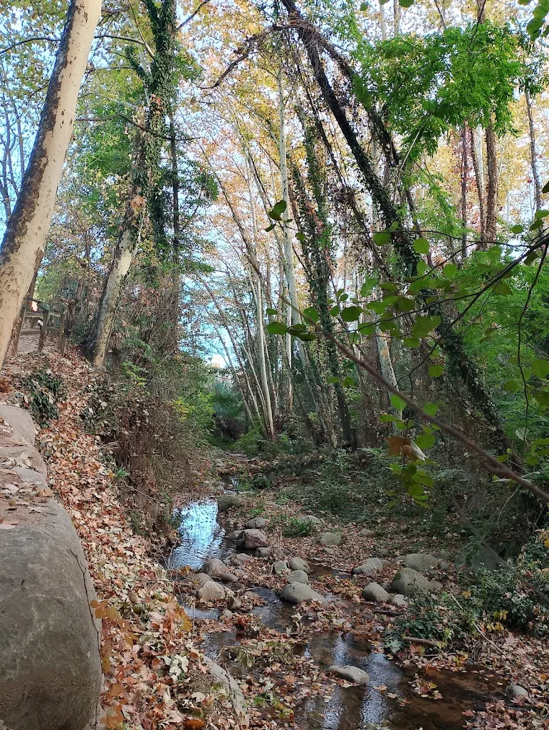 Font de la Corbadora ristorante a Arbúcies