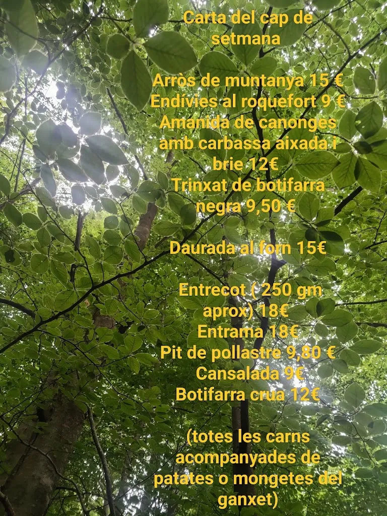 Menu_Coll de Te_Arbúcies_image_4