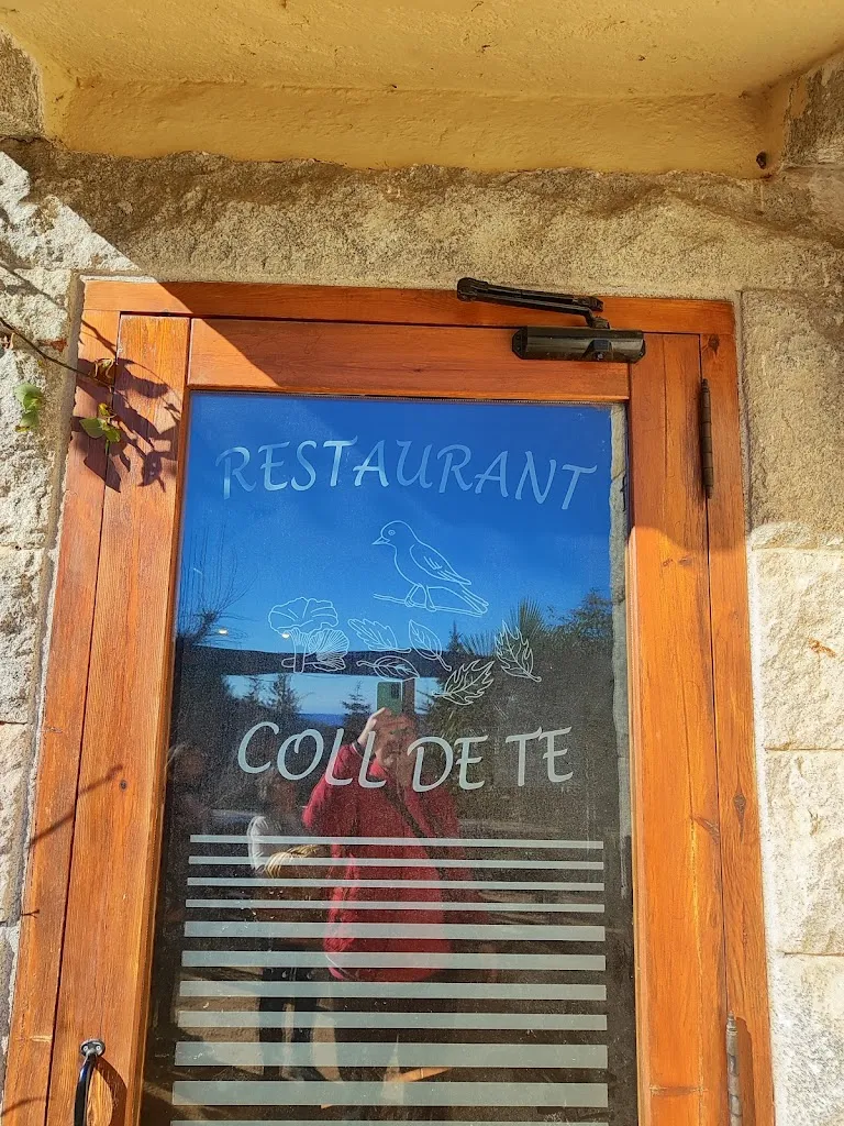 David f_Coll de Te_Arbúcies_review