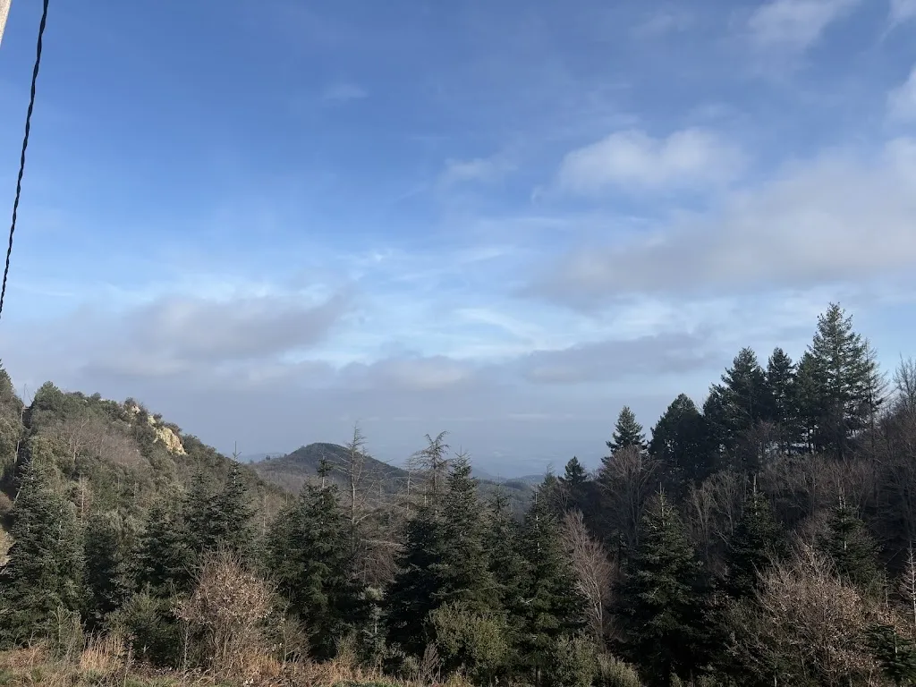 Natalia Concha_Coll de Te_Arbúcies_review