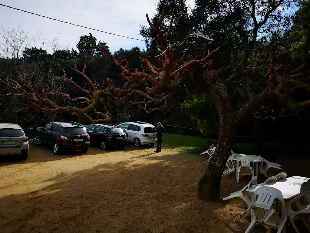 David Fargas_Restaurant Can Puig_Arbúcies_recensione