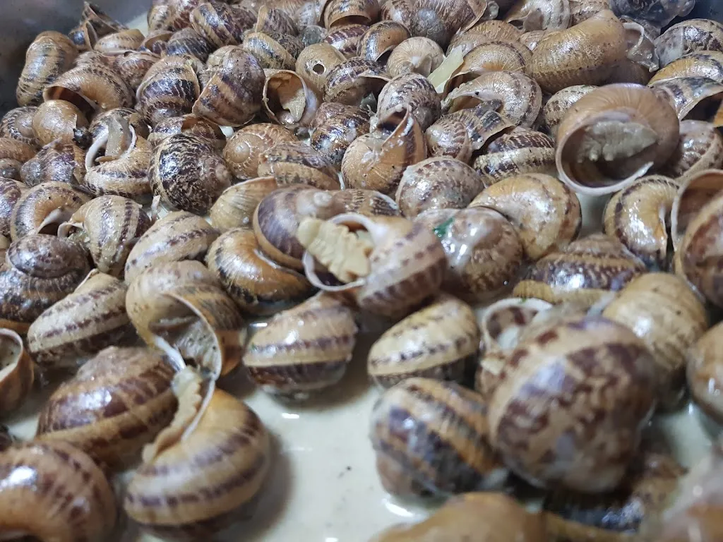 Menu_Restaurant Mas Gelat_Arbúcies_immagine_5