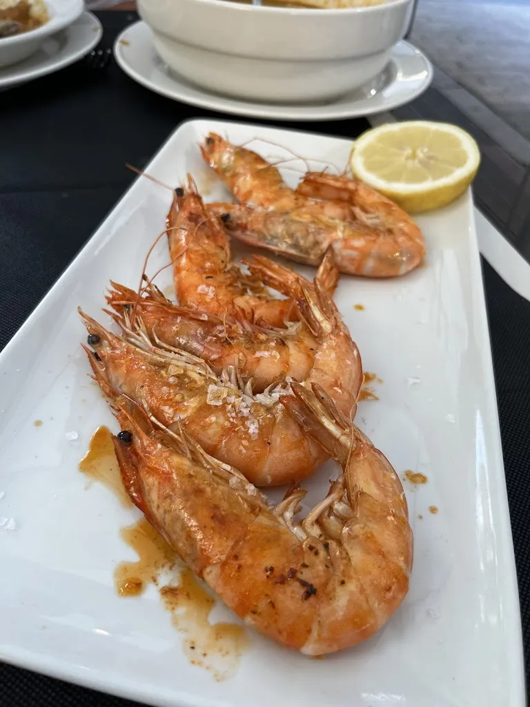 alexandra georgieva_Telesforo_Zarautz_review