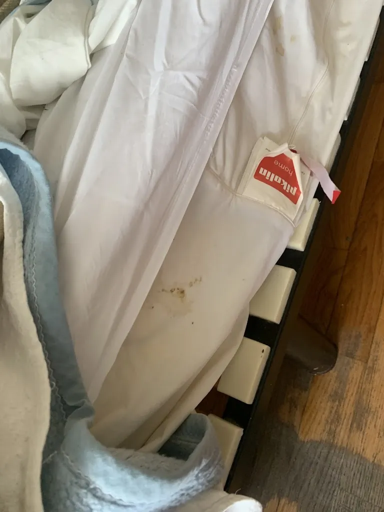 Boudewijn van Eerd_Asador Lagunak_Zarautz_recensione