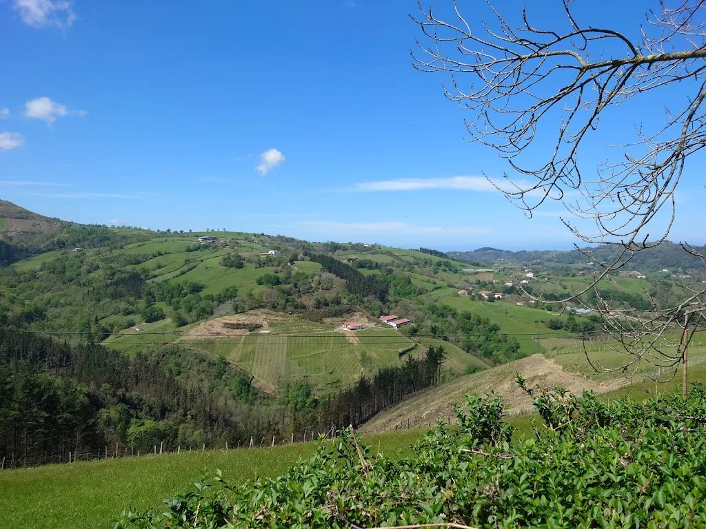 Vince L_Izeta Sagardotegia_Zarautz_recensione