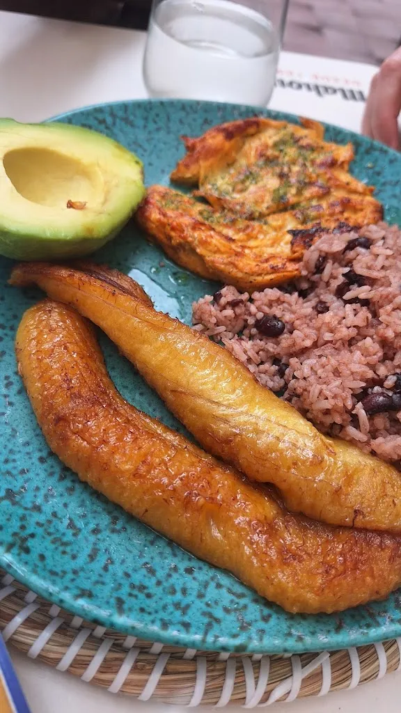 claudia urbizu_LAS PALMERAS ZARAUTZ_Zarautz_review