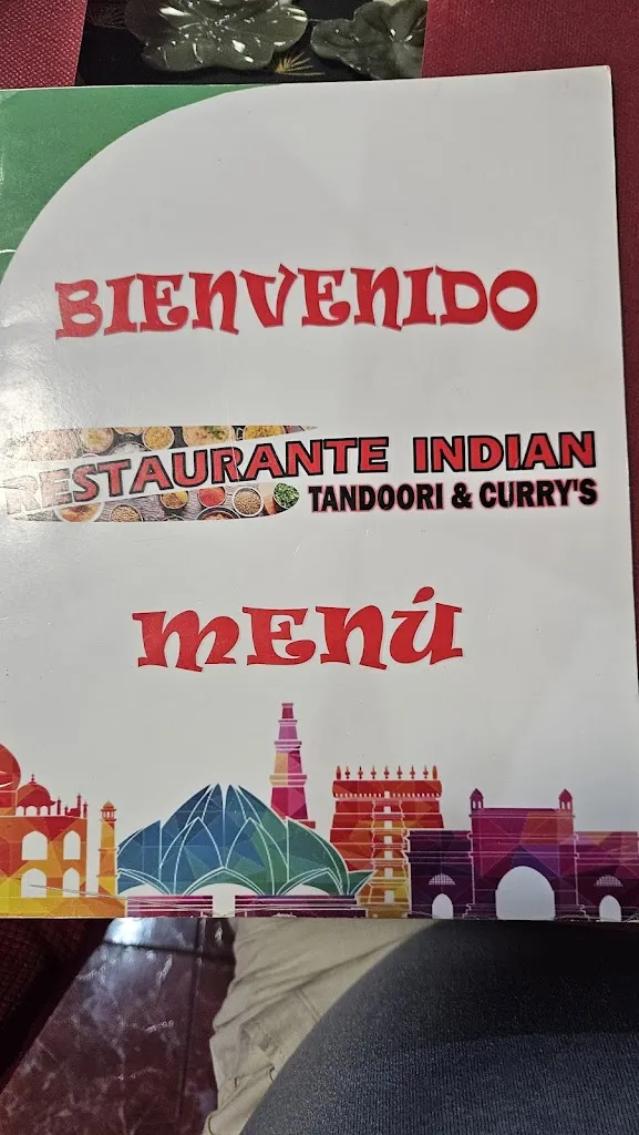 Steve Butcher_Restaurante Indian Punjab Tandoori & Curry's_Zarautz_review