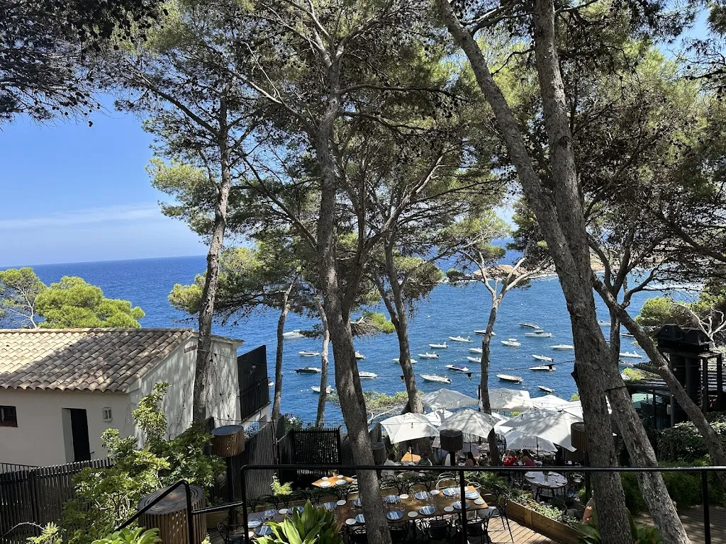 Gabor Cselle_Cap Sa Sal Restaurant_Begur_recensione