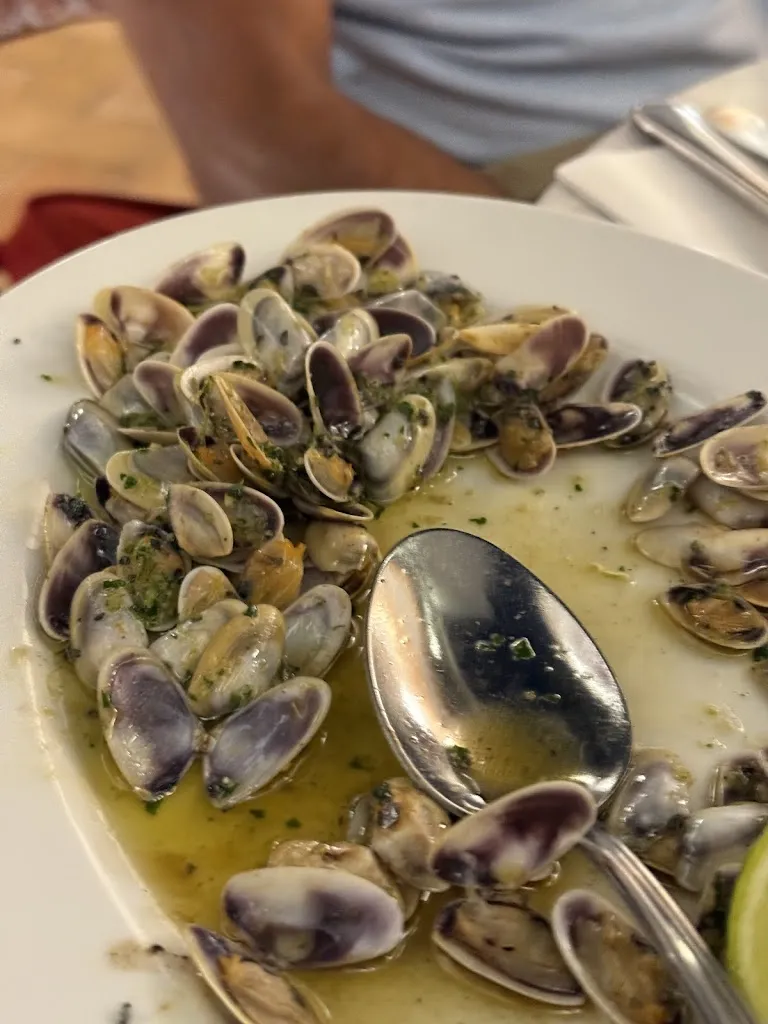 Katalina Vega Bautista_Begurio_Begur_review