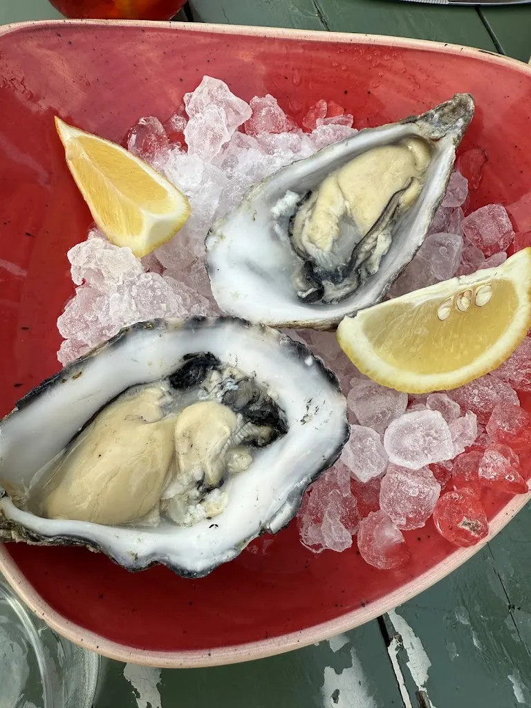 Farah Mudaffer_Toc al Mar_Begur_review