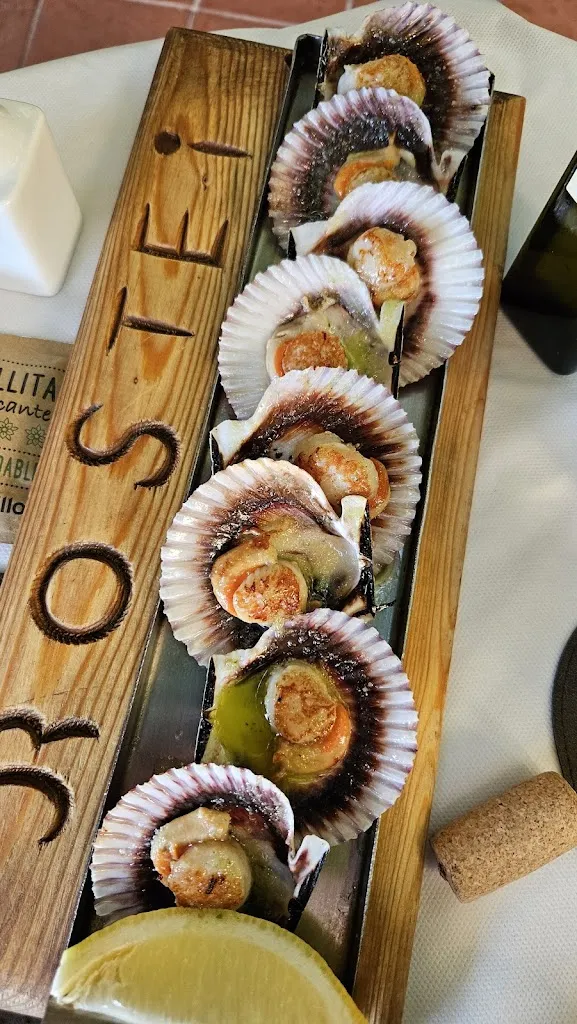 Daniel Cohen_Rostei_Begur_review