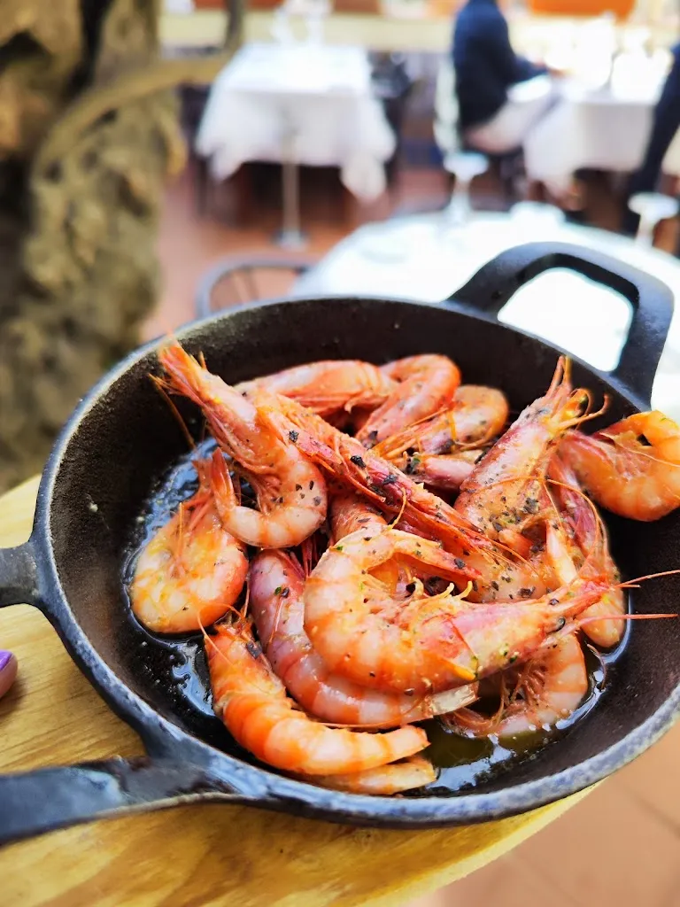 Rostei_Begur_slider_image_3