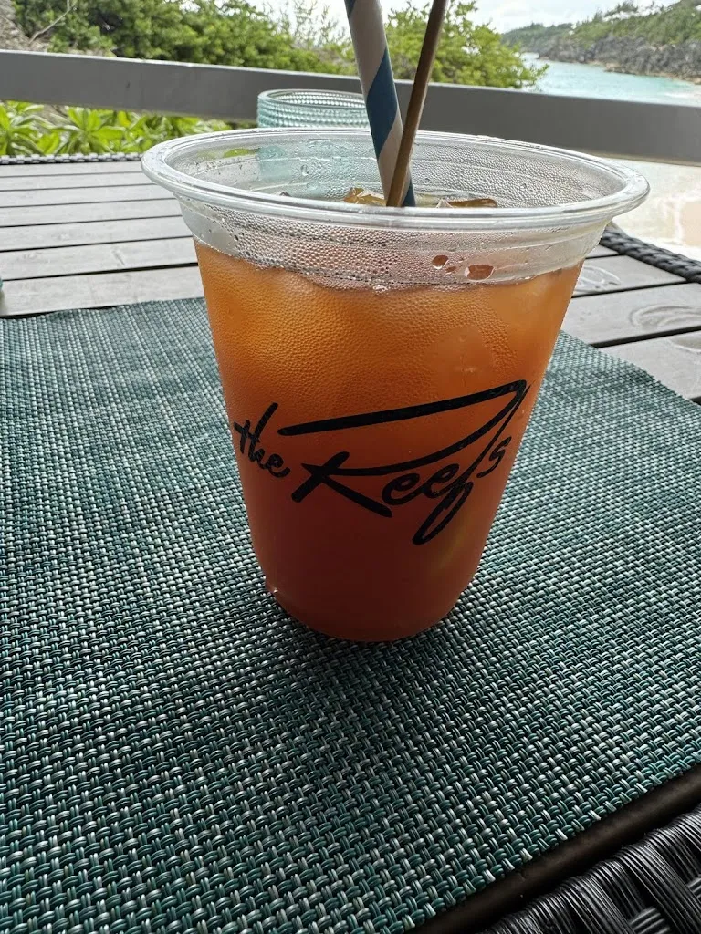 Lisa Trites_Coconuts_Beuda_review