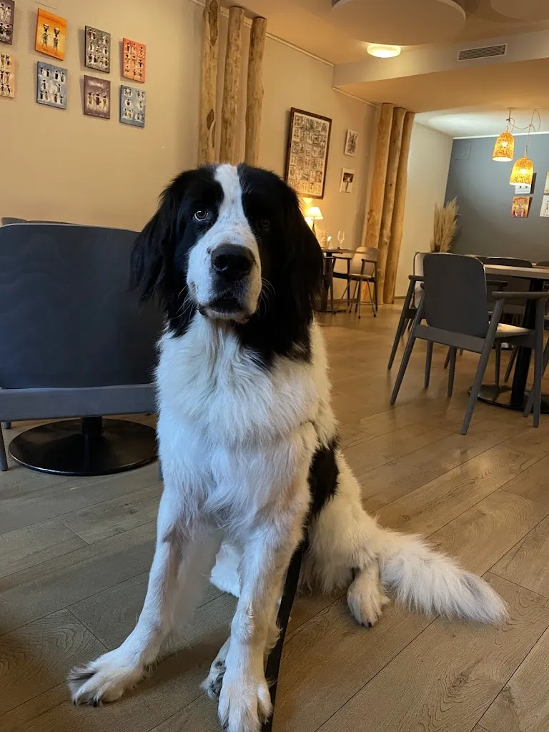 M&F Google Domain_Els Joncs - Moments Gastronòmics_Banyoles_review