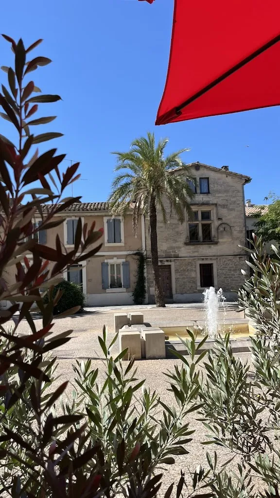 Kirill Maksimkin_Restaurant Au Louis IX - Restaurant Aigues-Mortes_Aigües_review