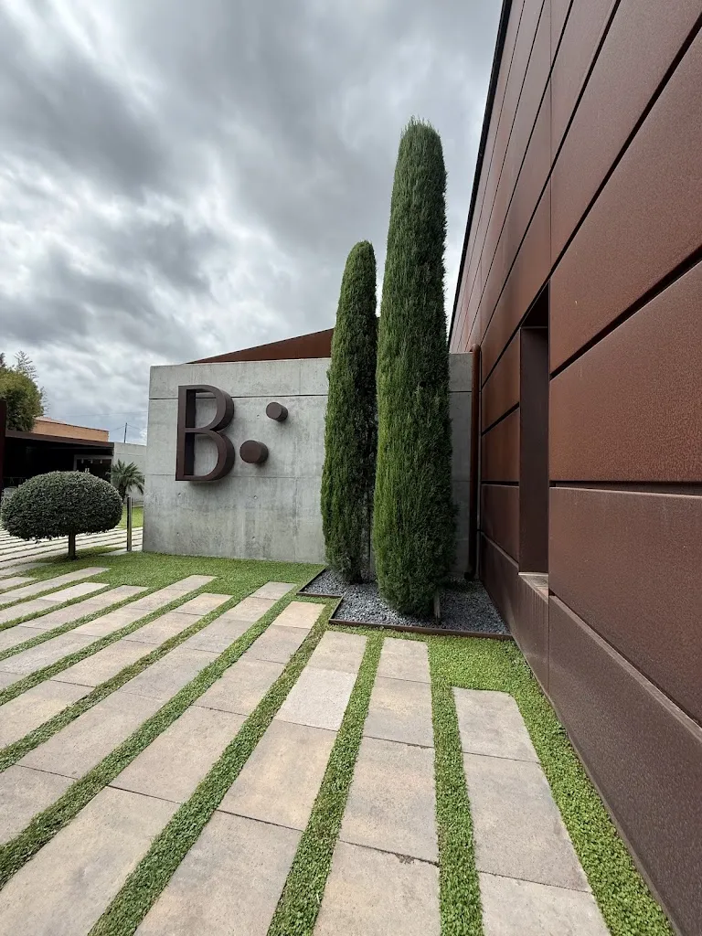 Charmander Lee_Bo.TiC_Bordils_review