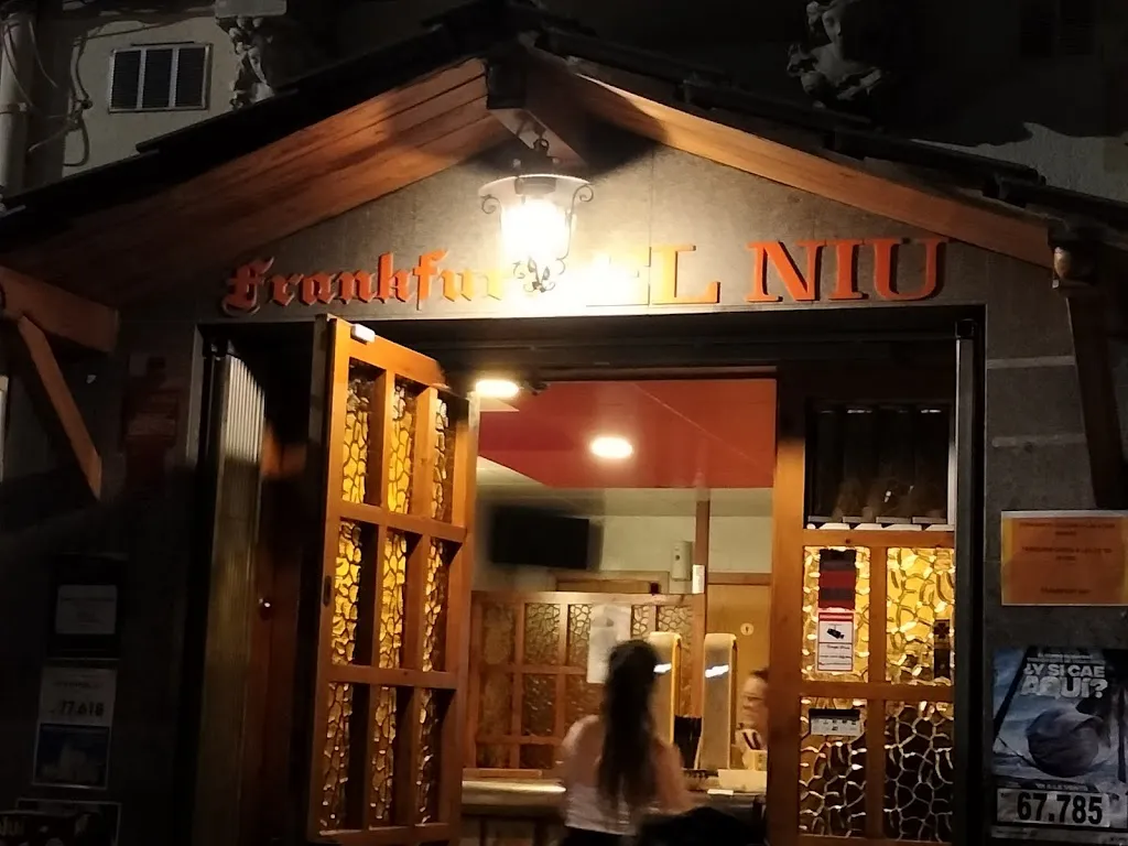 Frankfurt el niu_Campdevànol_slider_image_3