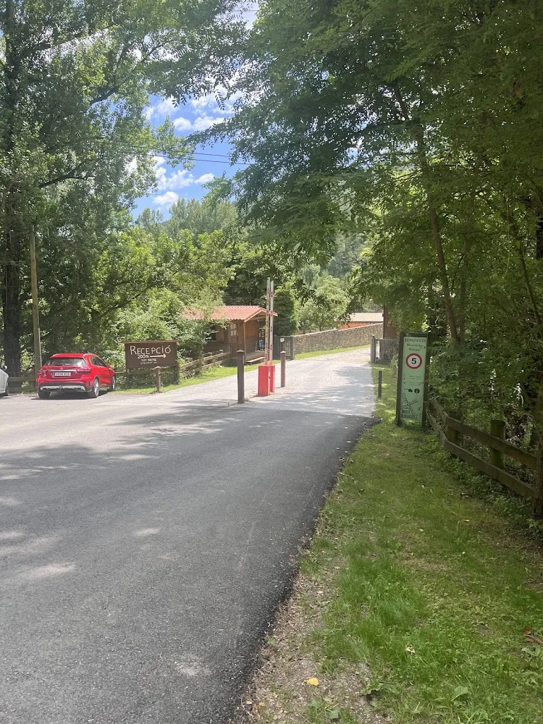 Berny_Càmping Molí Serradell: restaurant de cuina típica de muntanya_Campdevànol_review