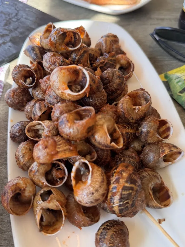 Al Dr_Restaurant Local Social de Campllong_Campllong_recensione