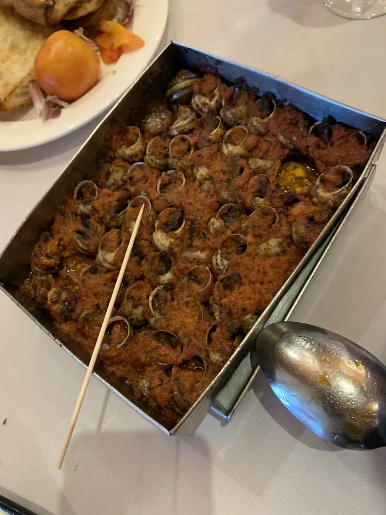 W T_Can Barris_Campllong_review