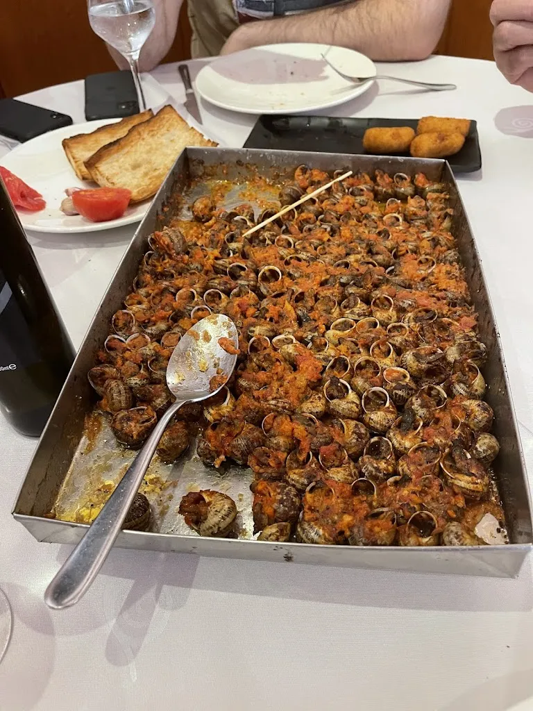 Caroline Bosch_Can Barris_Campllong_review