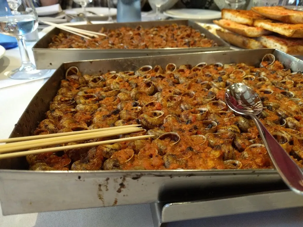 Anna Buchanan_Can Barris_Campllong_review