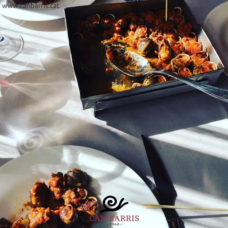 Can Barris_Campllong_slider_image_3