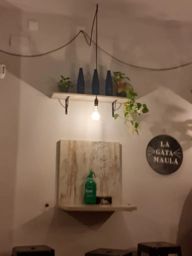 Paloma Castro_La Gata Maula Vermuteria_Caldes de Malavella_review