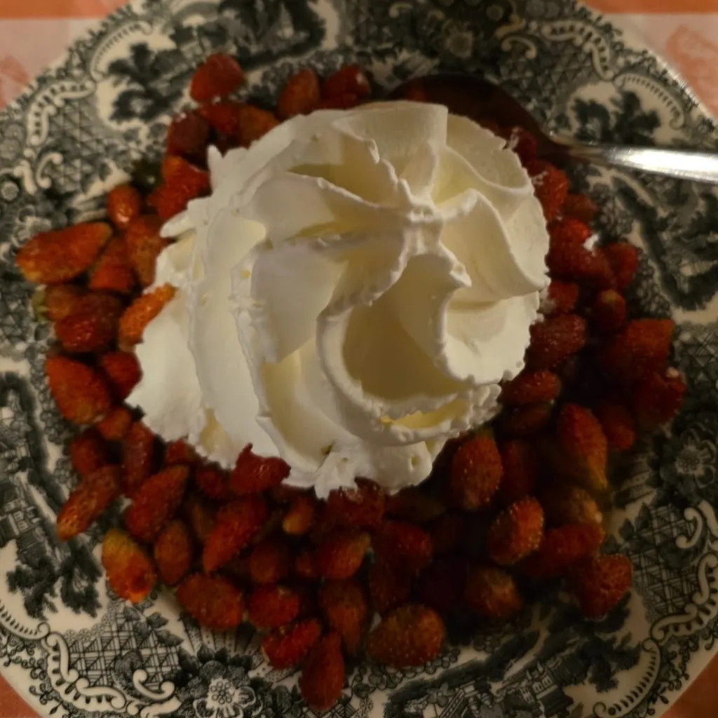 Menu_Restaurant Hostal de la Granota_Caldes de Malavella_image_8