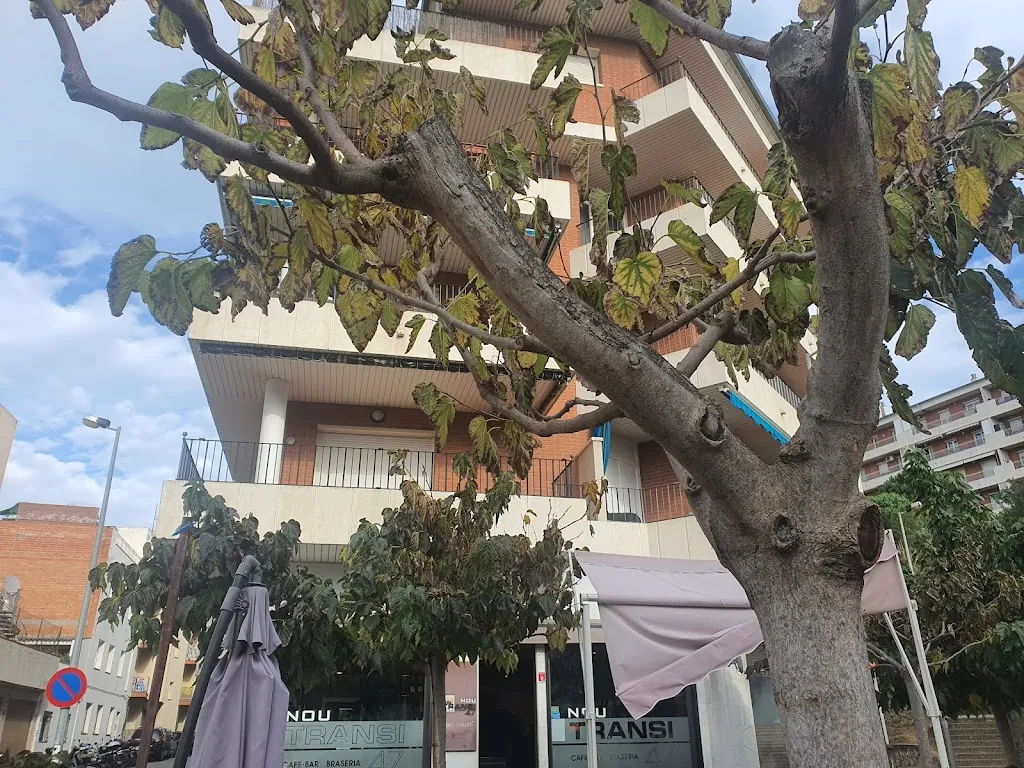 Monica Bednarek_Restaurante Nou Transi 47_Blanes_review