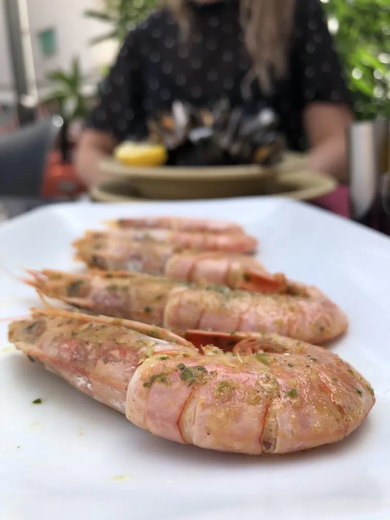 Igor Vileikis_Siroco_Blanes_recensione