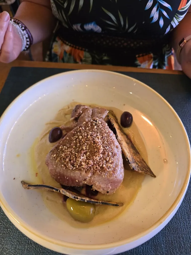 Michel Drenth_Palmera Blava_Blanes_review