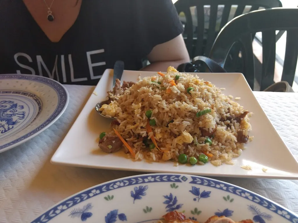 Menu_Hong Kong Restaurant Blanes_Blanes_immagine_7