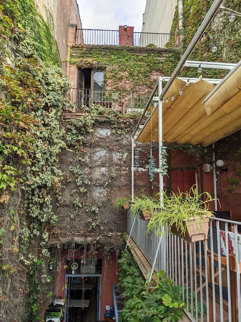 Janet Hein_Casa Oliveras_Blanes_recensione