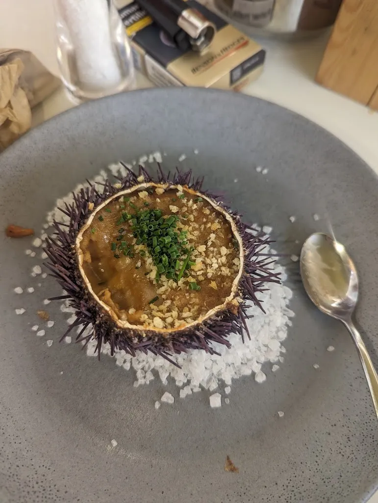 paul bohan_L'Activa 7.0_Blanes_recensione