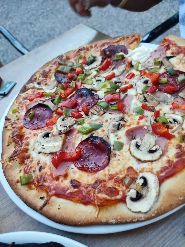 Franziska Edwards_El Fort_Capmany_review