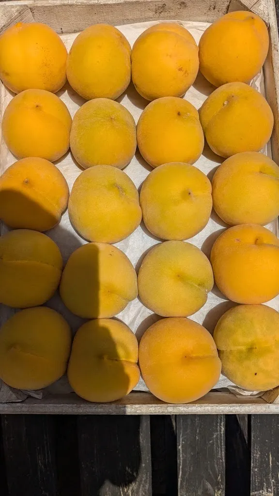 Jess Glez_Restaurant Cal Ton Vell_Cantallops_review