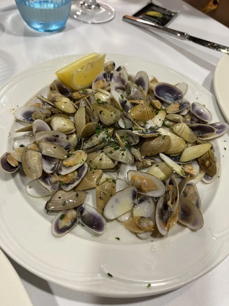 Zarina Kurt_El Racó de Torre Valentina_Calonge_recensione