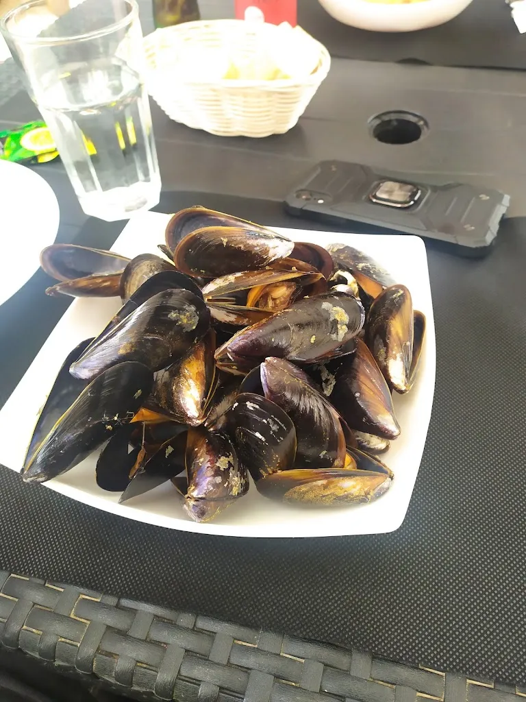 Pol_Cal Javi_Calonge_review