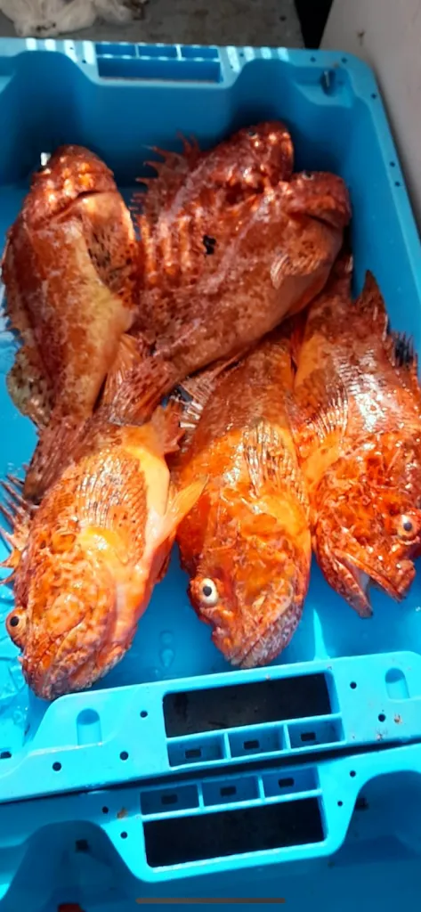 Menu_Restaurant Can Sebi_Calonge_image_7