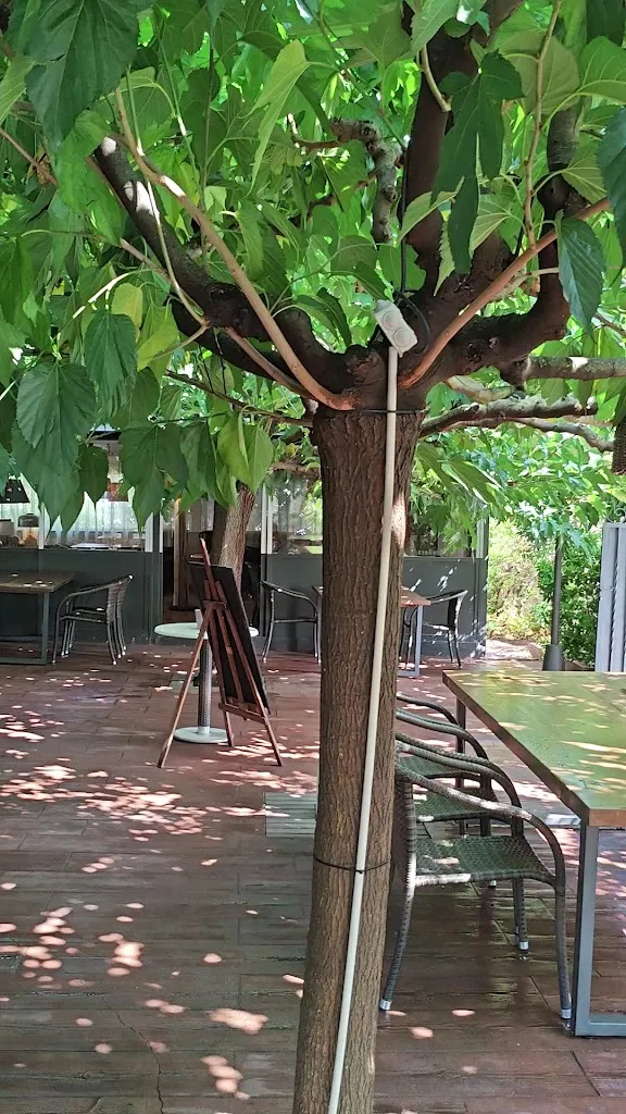 Samal restaurant Calonge_Calonge_slider_image_2