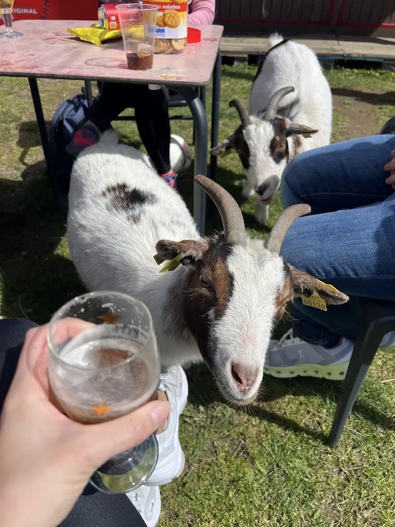 Sara Hernandez_L'Hípic de la Vall de Camprodon_Camprodon_review