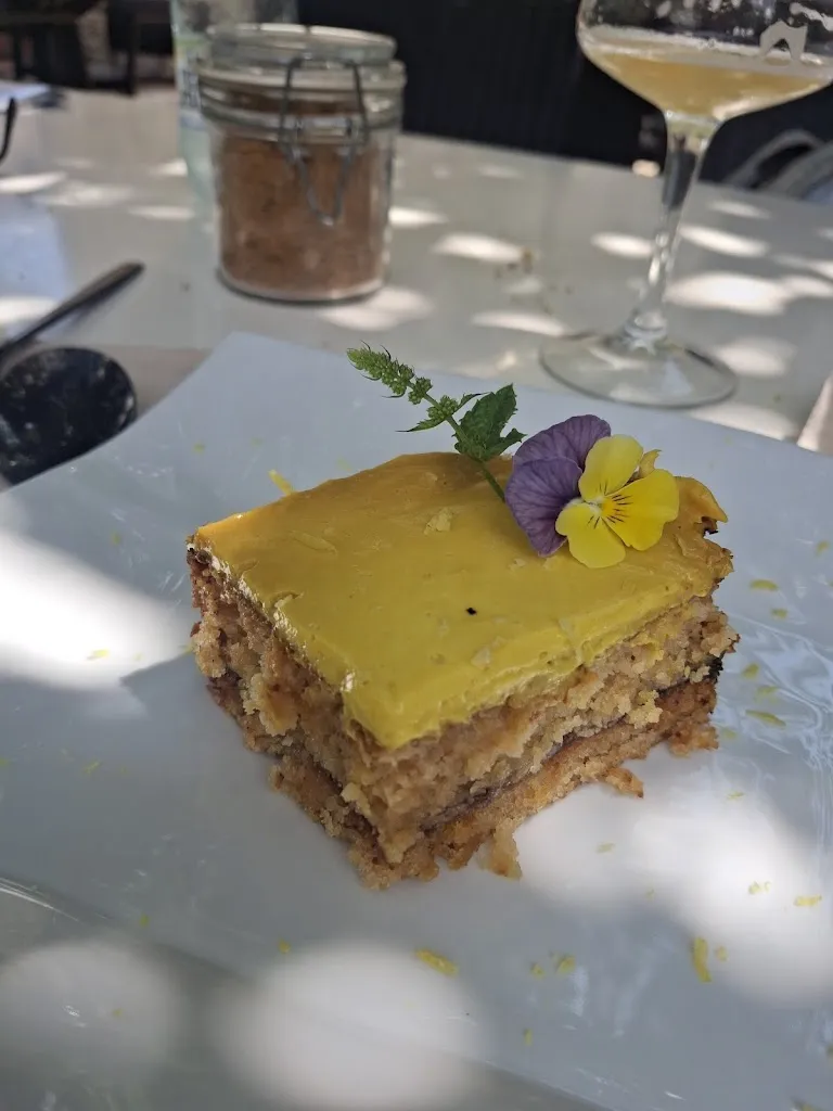 Sara Kirstine_El petit vegà d'en Pep i la Laura_Camprodon_review