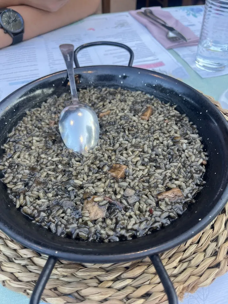 Giulia Lammers_El Portal de la Gallarda_Castelló dEmpúries_review