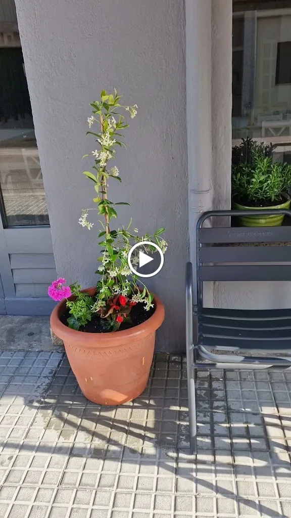 Restaurant Cal Midi_Castelló dEmpúries_slider_image_2