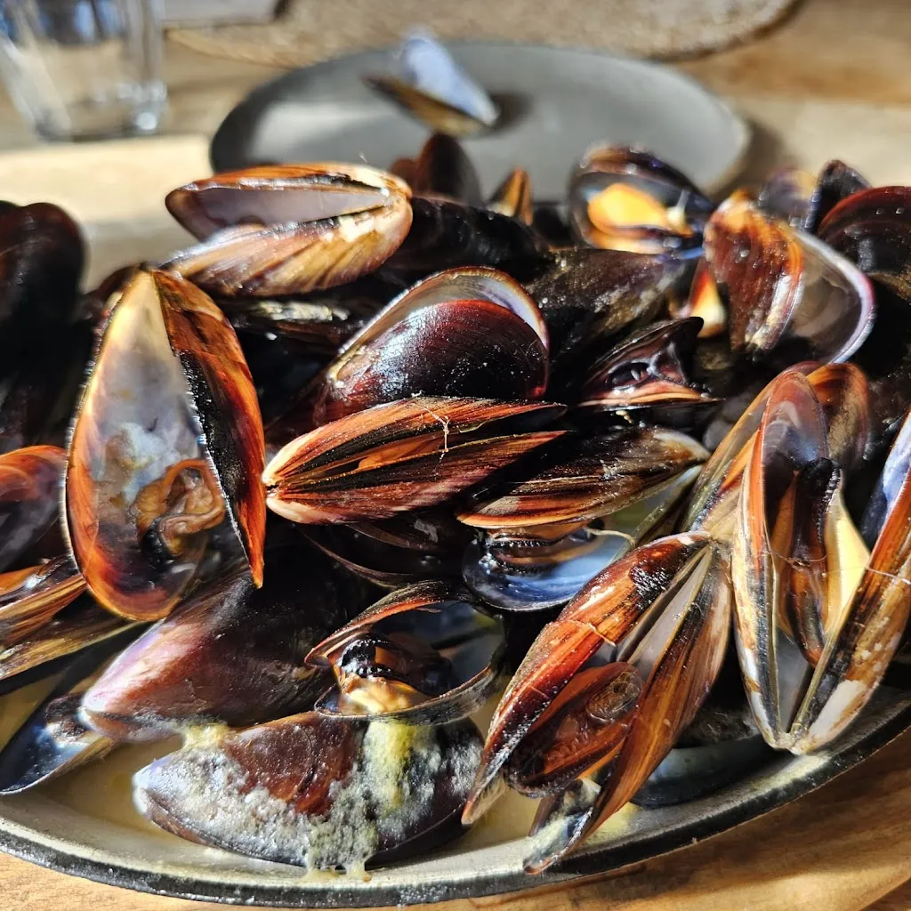 Can Mosquette_Cellera de Ter La_slider_image_3